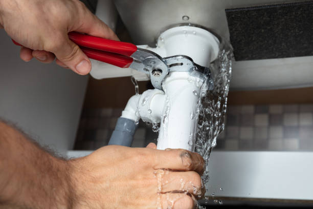 Best Water damage cleanup near me  in Dunlap, IA