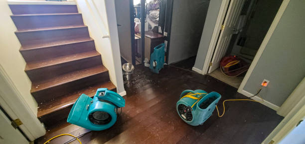 Best Carpet water damage restoration  in Dunlap, IA
