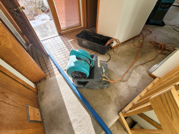 Best Fire Damage Restoration  in Dunlap, IA