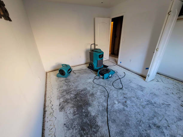 Best Flood restoration services  in Dunlap, IA