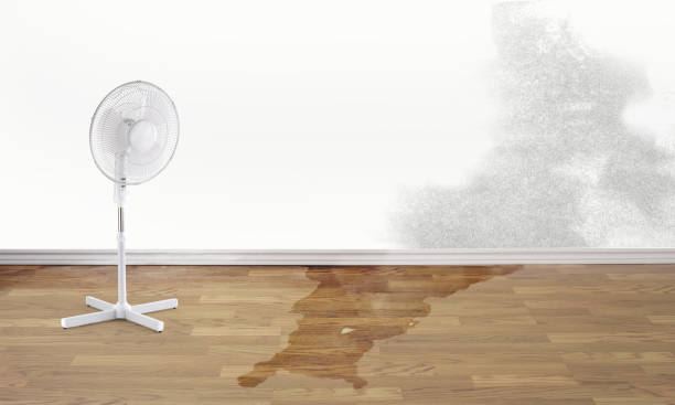 Water damage restoration process in IA