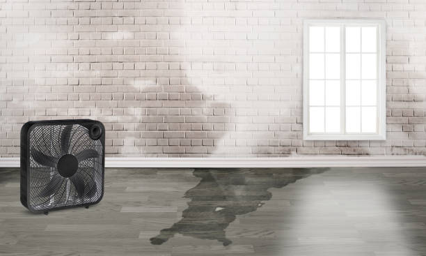 Best 24-hour water damage restoration  in Dunlap, IA