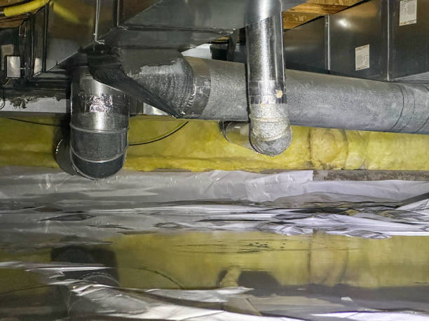 Best Basement water damage restoration  in Dunlap, IA