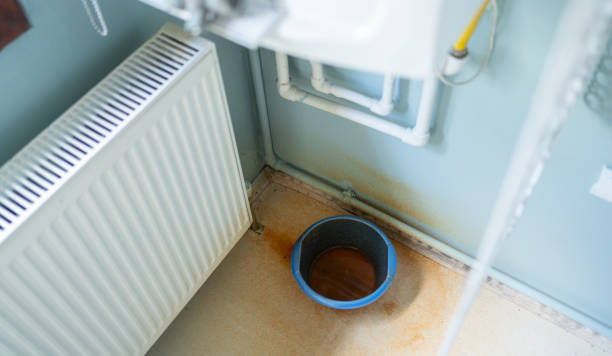 Best Water damage restoration specialists  in Dunlap, IA