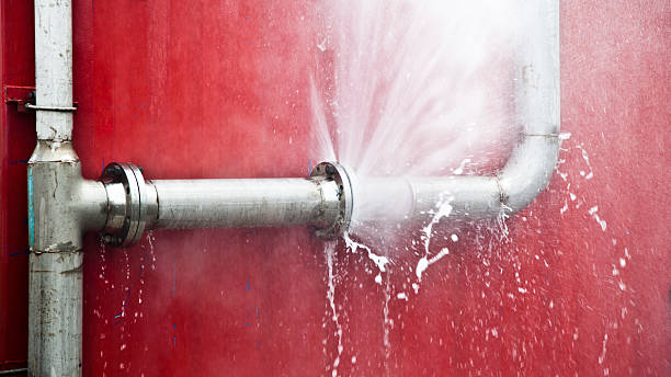 Best Water damage restoration services  in Dunlap, IA