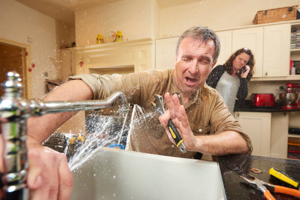 Best Water damage contractors near me  in Dunlap, IA